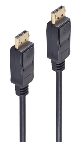 SHIVERPEAKS - BASIC-S Câble de connexion Displayport, 1,0 m