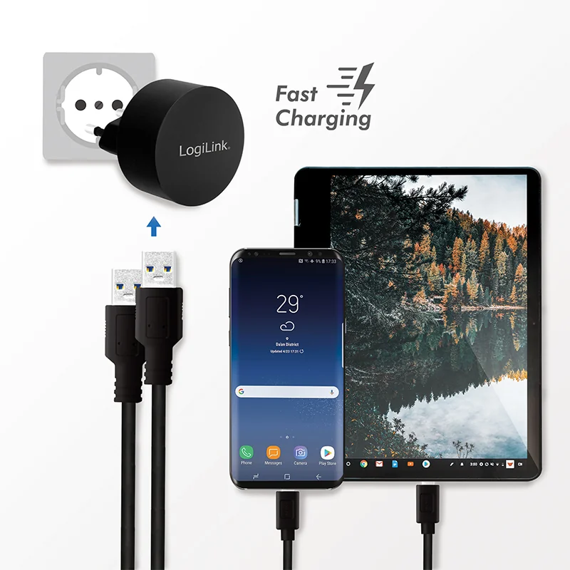 LogiLink Chargeur secteur USB pour Fast Charging, 2x USB - OEM PA0218