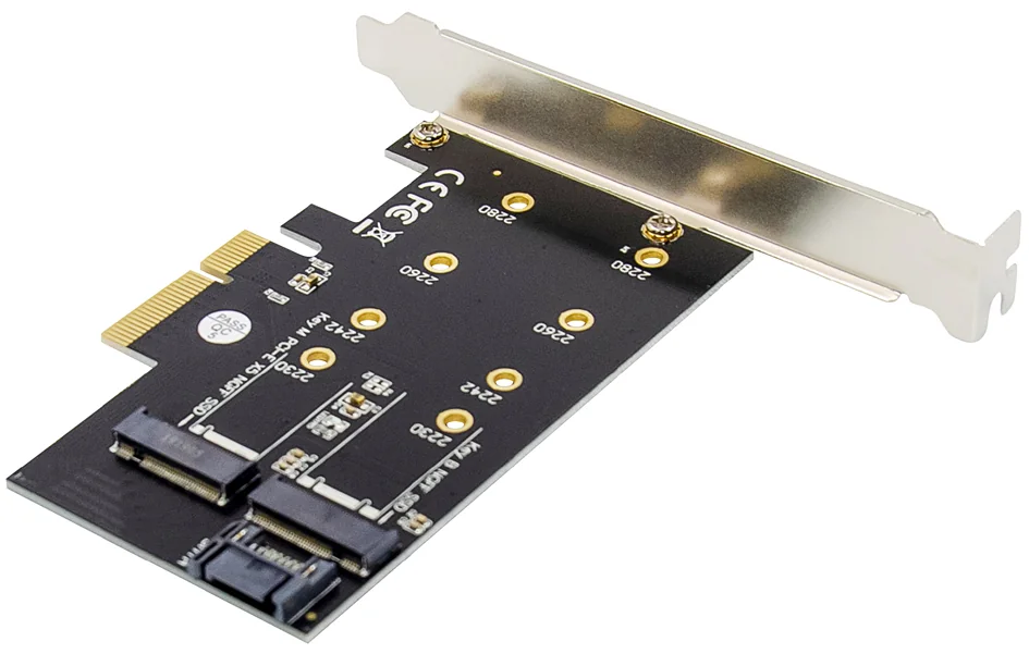 DIGITUS Carte Add-On M.2 NGFF/NVMe SSD PCI Express 3.0 (x4) - OEM DS-33170