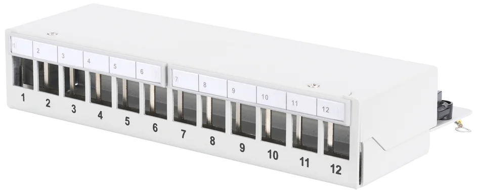 DIGITUS - Panneau de brassage modulaire Desktop, 12 ports