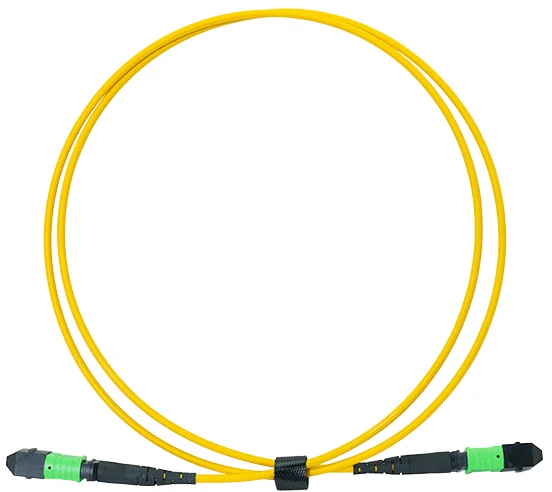 LogiLink Câble patch MPO, 12 fibres, Singlemode, OS2, 2 m - OEM FM6LC02
