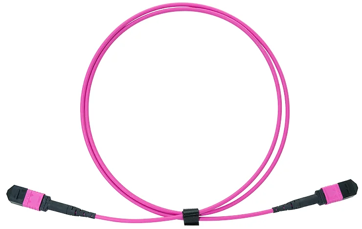 LogiLink Câble patch MPO, 12 fibres, Multimode, OM4, 3 m - OEM FM7LC03